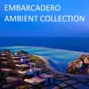 Leaving Planet Earth (Donald Wilborn remix)