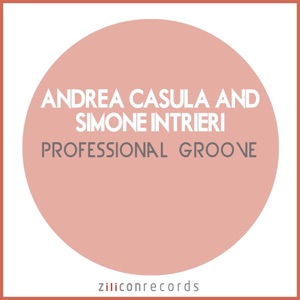 Professional Groove - Single