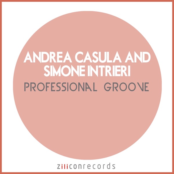 Professional Groove - Single