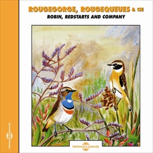 Rougegorge, Rougequeues - Robin, Redstarts & Co