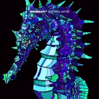 Watergate 20 - Matthias Meyer