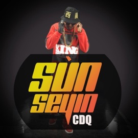 Sun Seyin CDQ