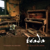 Teada - Reels: The Reel with the Birl / Carraigín Ruadh / Ryan’s Rant