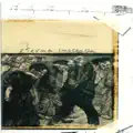 Inconmovibles, Ya Hemos Construido el Muro