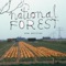 M23 - National Forest lyrics