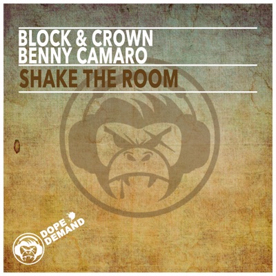 Shake the Room - Single