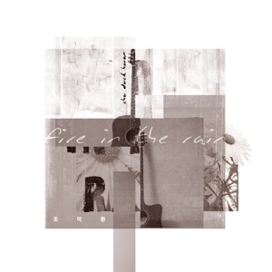 Fire In the Rain - Single