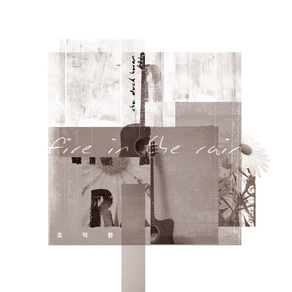 Fire In the Rain - Single
