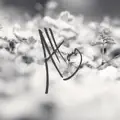 Stay