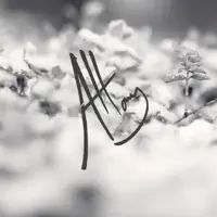 Stay