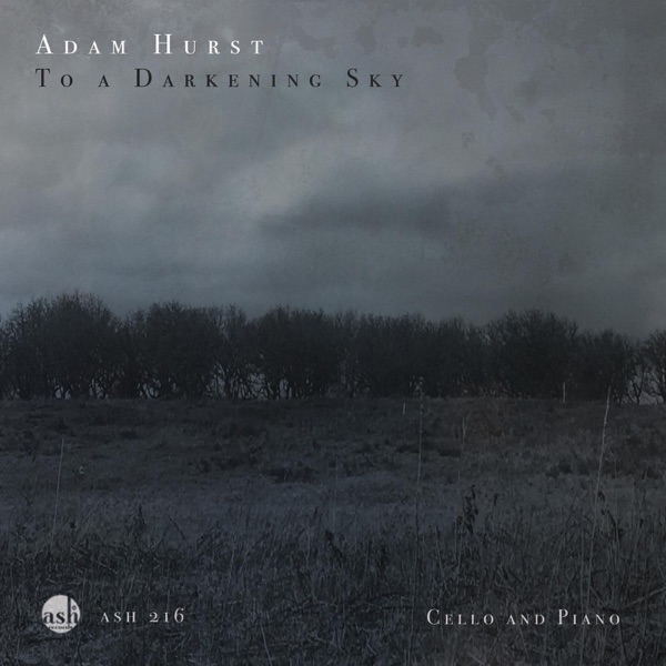To a Darkening Sky  Cello and Piano
