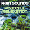 Rain Sounds - The White Noise & Rain Sound Experts