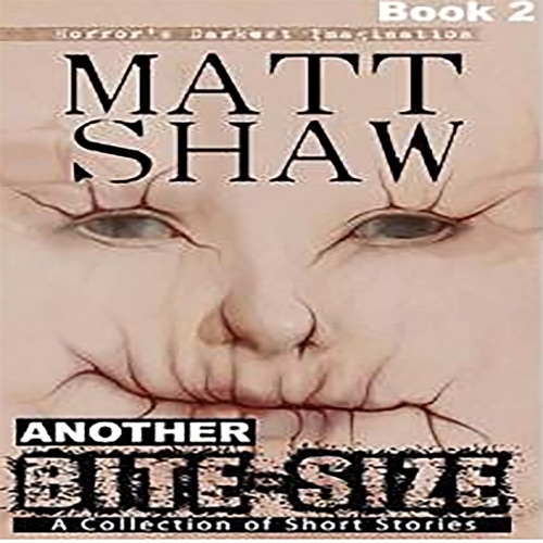 Another Bite-Size: A Collection of Short Stories (Unabridged) cover