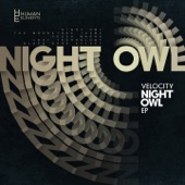 Night Owl artwork