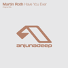 Have You Ever - Martin Roth