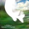 Following the Footprints of Bishop Brask - The Fish Who Saved the Planet lyrics