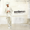 Another Intensity - Gentleman