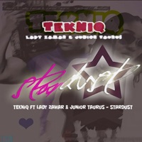 Stardust (feat. Lady Zamar & Junior Taurus) - Single - Tekniq
