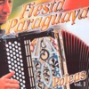Fiesta Paraguaya - Llegada