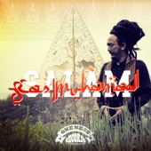 Ras Muhamad - Re-Education