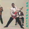 Bo Diddley artwork