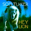 Hey Lion - Single artwork