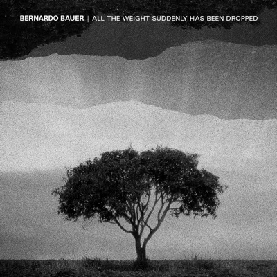 All the Weight Suddenly Has Been Dropped - Single