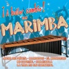 ¡A Bailar Cumbia! con Marimba