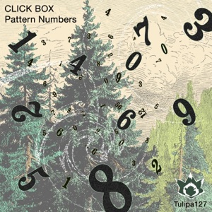 Pattern Numbers - Single