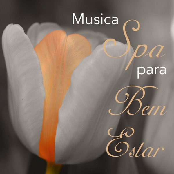 Música Spa para Bem Estar: Música Relaxante Para Massagem & Sons Da Natureza con Estimulação Do Cérebro, Melhor Sono Para Relaxamento e Meditação Músicas