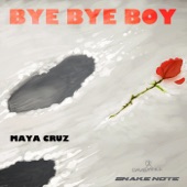 Bye Bye Boy artwork