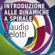Claudio Belotti - Introduzione alle dinamiche a spirale
