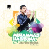 Solaatun Bi Salaamil Mubiin artwork