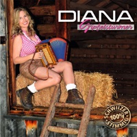 Mir wähled niemer meh