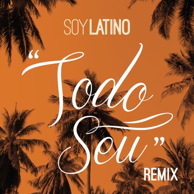 Todo Seu (feat. Well Assis) [Remix] - Single
