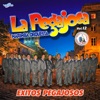 Éxitos Pegajosos Vol. 12. Música de Guatemala para los Latinos