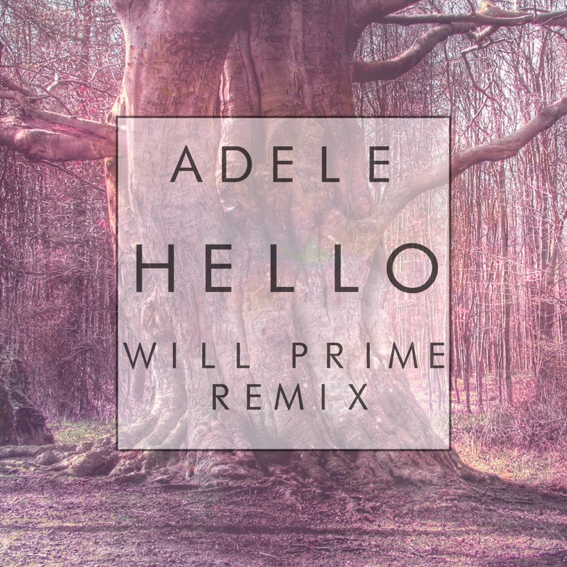 Hello (Will Prime Remix)
