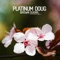 Brown Sugar (Croatia Squad Remix) - Platinum Doug lyrics