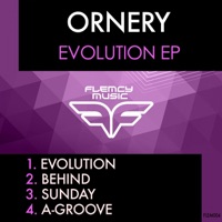 Evolution - EP - Ornery