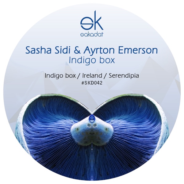 Indigo Box - Single