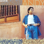 The Best of Andy Lau - 劉德華