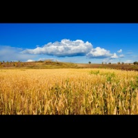 Paul Sweeney - Already Seen