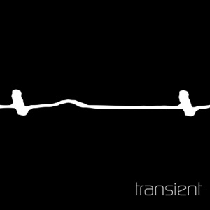 Transient