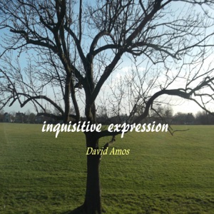 Inquisitive Expression - Single