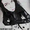 Kleid aus Glas (Schandpfahl