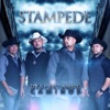 Stampede