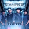 Stampede