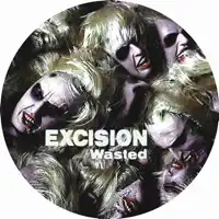 Wasted — Excision