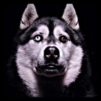 Antiheld - Single - Grinch Hill