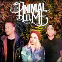 Hello — The Animal In Me